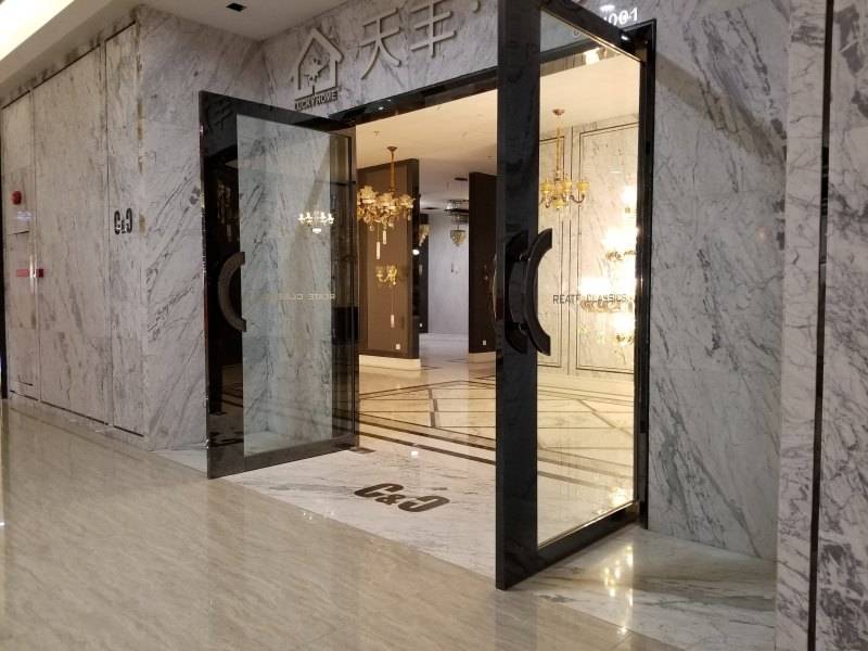 Stainless Steel Entrance Door product case