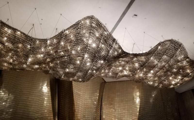 Stainless Steel Ceiling Materials product case