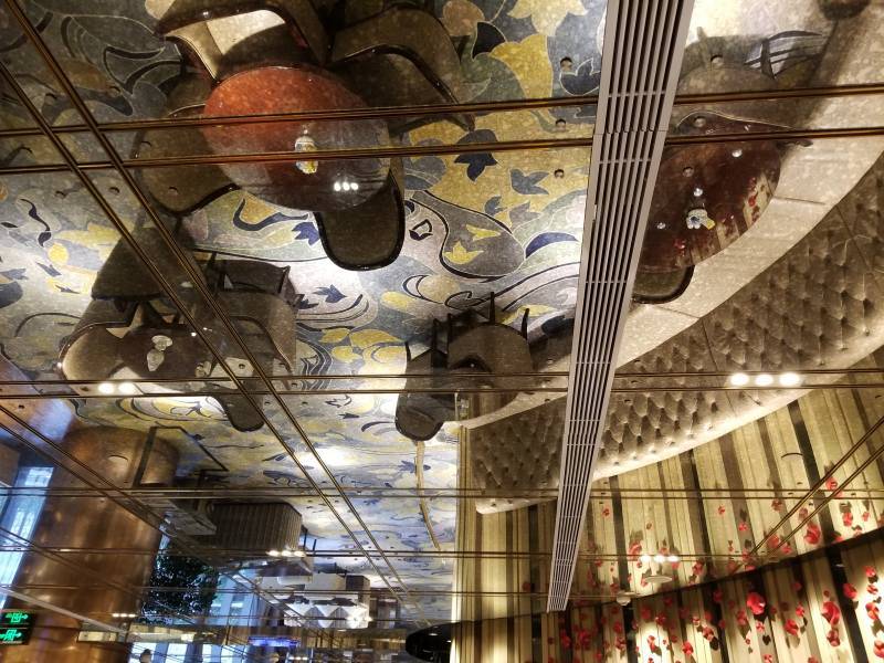 Stainless Steel Hung Ceiling product case