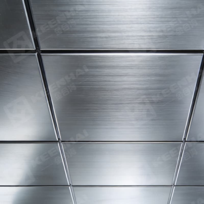 Brushed Stainless Steel Panel Ceiling